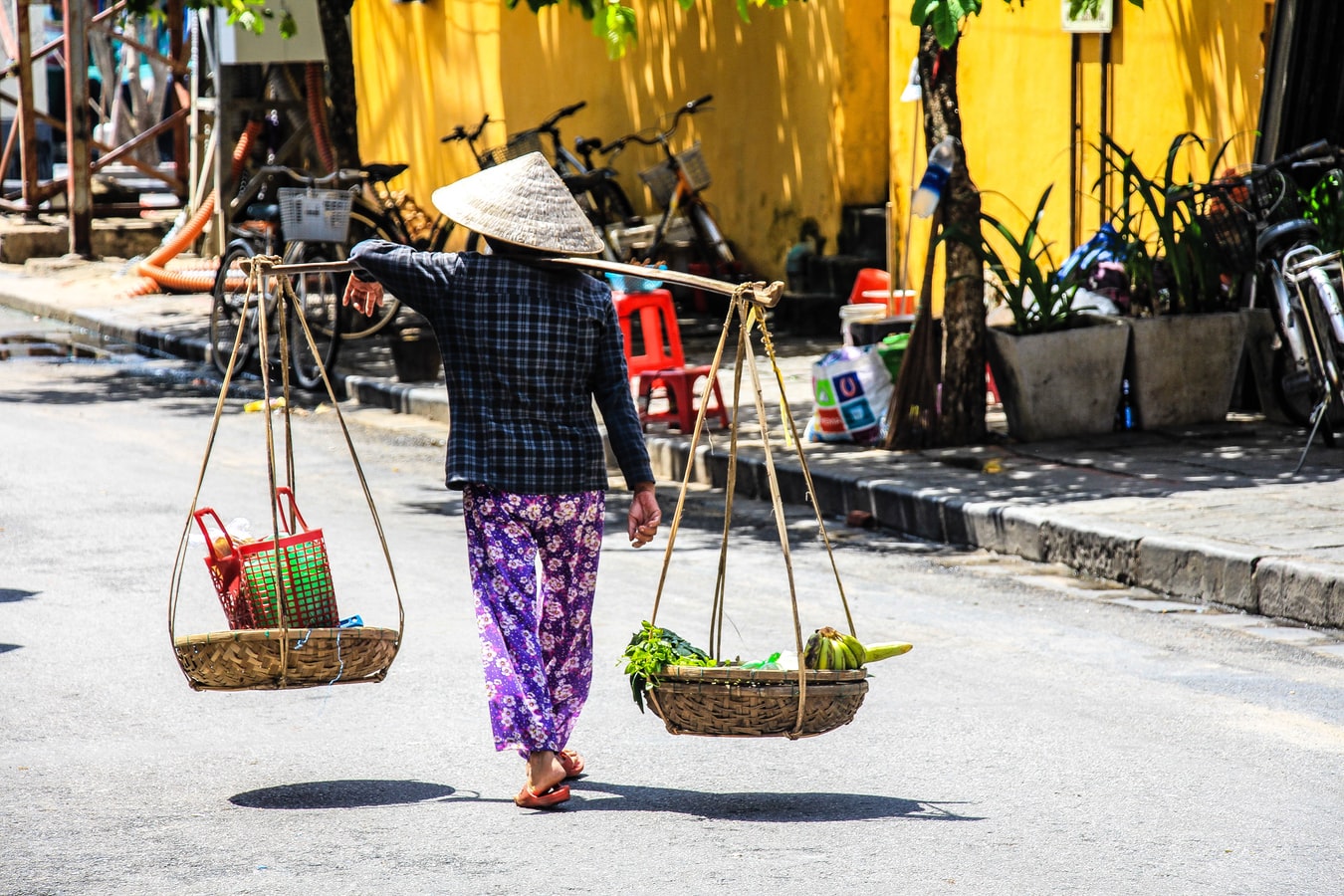 Vietnam visa for Austrian citizens